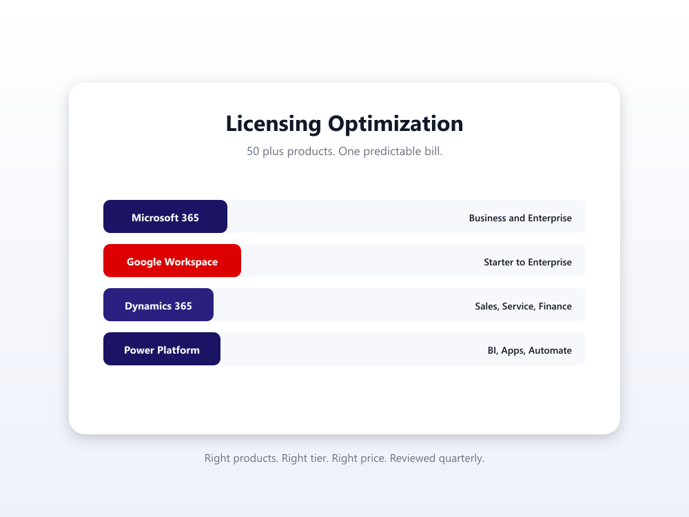 Licensing Optimization across Microsoft, Google, Dynamics, and Power Platform